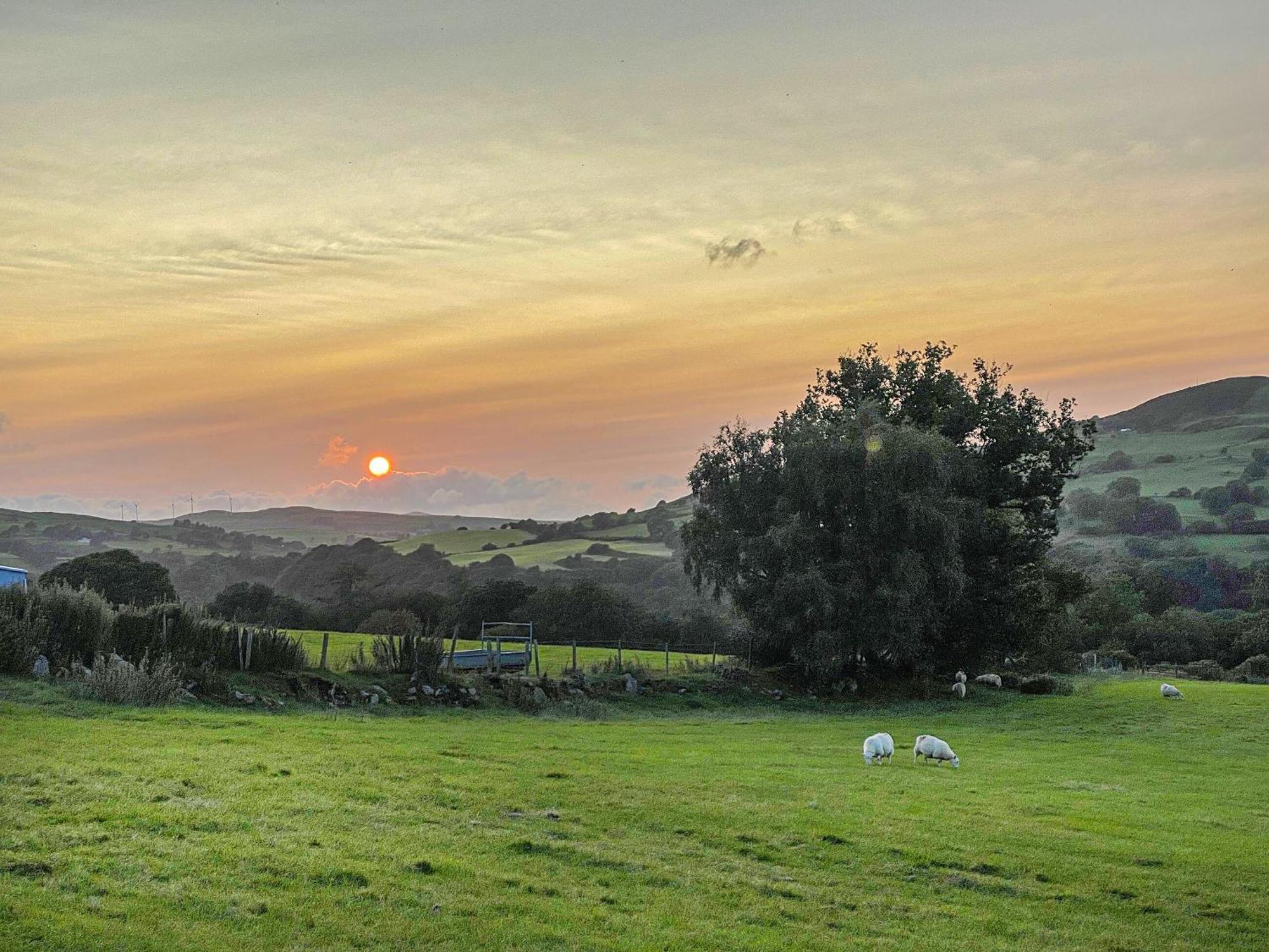 Fedwr Gog Cottage Llangwm  Экстерьер фото