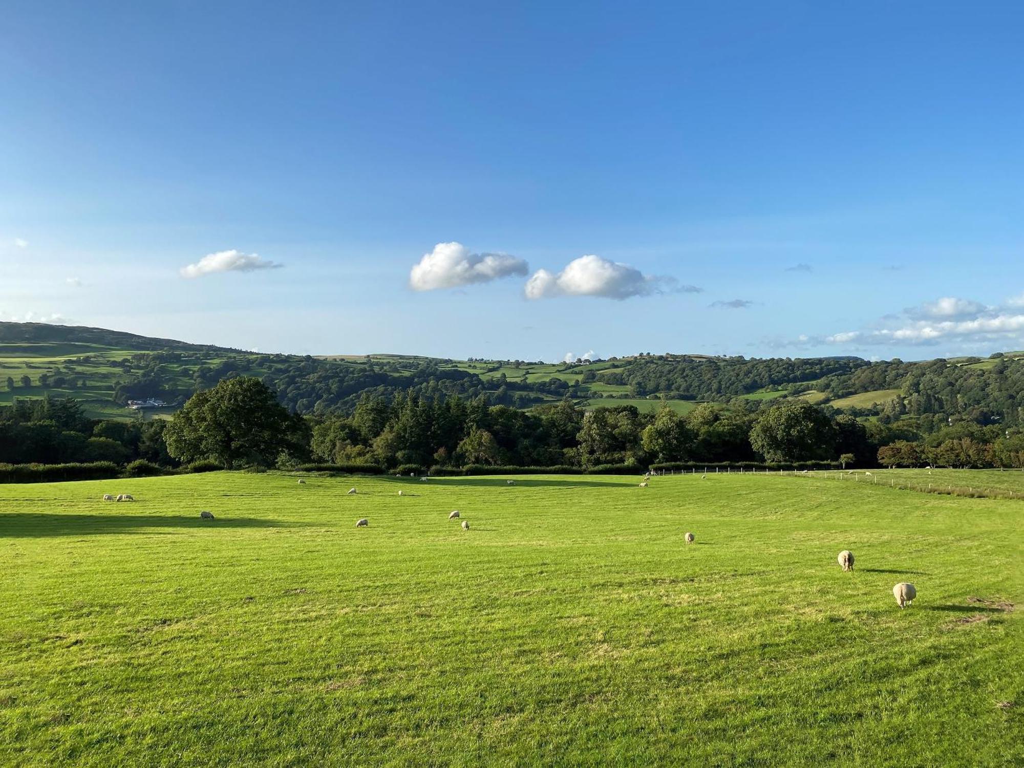 Fedwr Gog Cottage Llangwm  Экстерьер фото