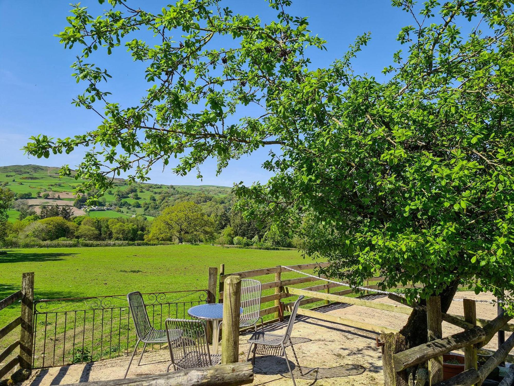 Fedwr Gog Cottage Llangwm  Экстерьер фото