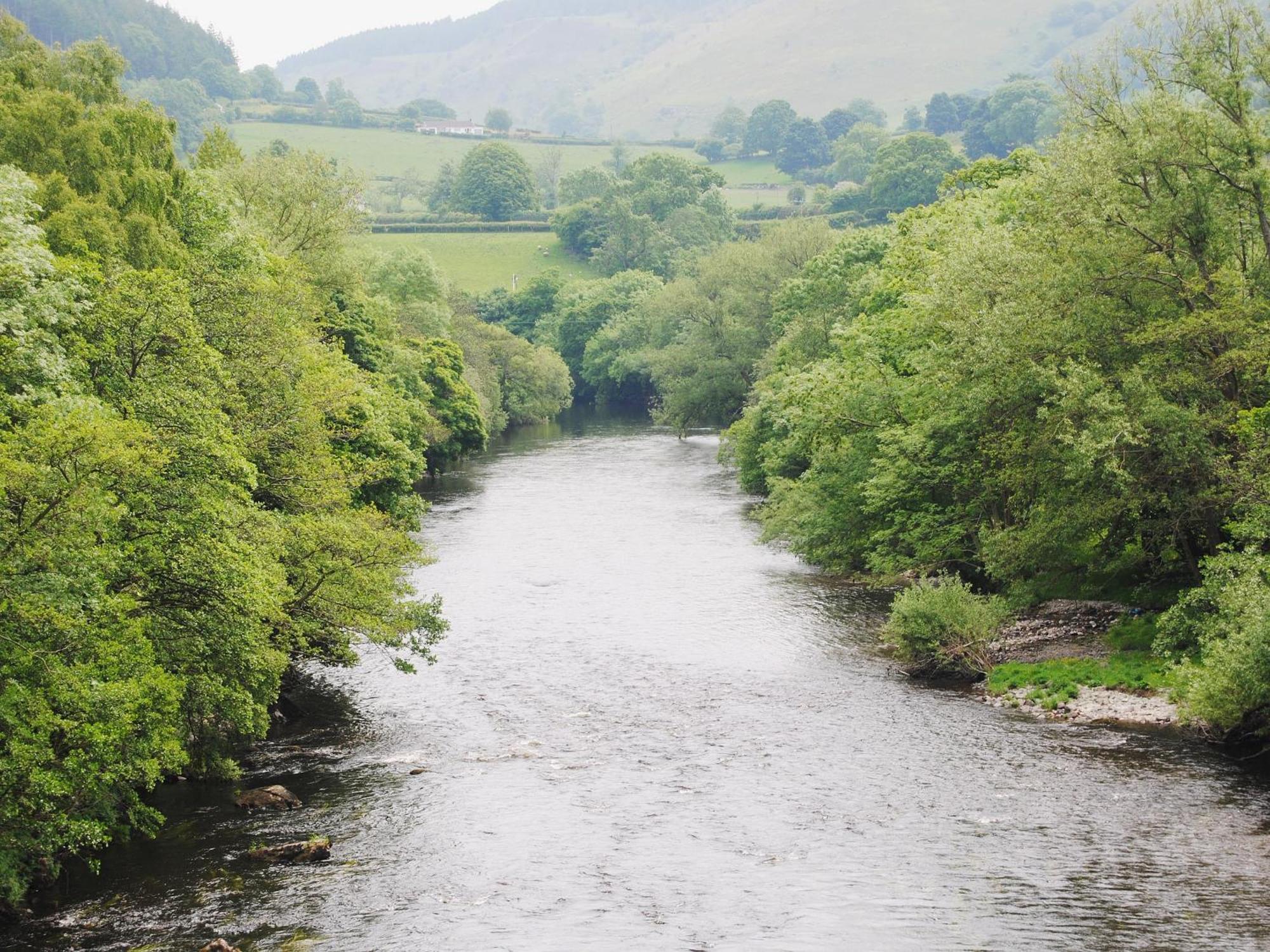 Fedwr Gog Cottage Llangwm  Экстерьер фото